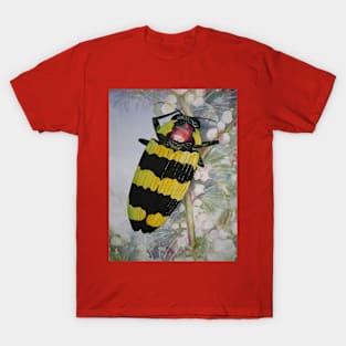 Jewel Beetle Watercolour Painting T-Shirt